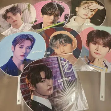 리노 부채 세트