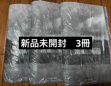 RIIZE FAME 카탈로그 ver. 미개봉 새상품 앨범 트레이딩 카드