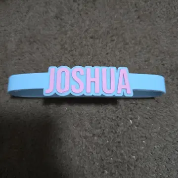 SEVENTEEN 조슈아 응원봉 액세서리