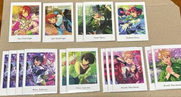 앙스타 파샤츠 vol.6 레오 이즈미 린네 아라시 츠카사