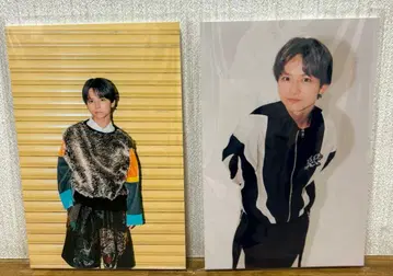 키도페노 스즈키 루이 패널