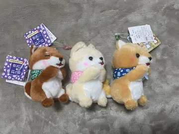 AMUFUN 콩 시바 삼형제 모두 조르기 LMC 3종 세트