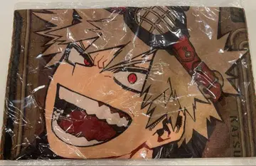 나의 히어로 아카데미아 히로아카 대형 타월 바쿠고