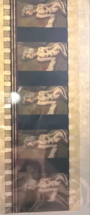 에반게리온 특전 필름 서 아야나미 레이