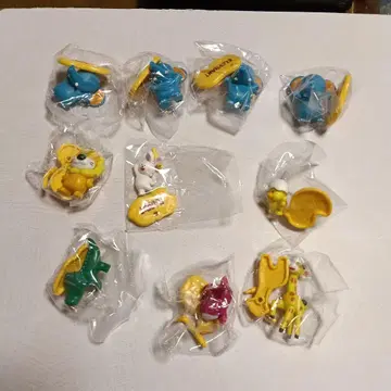 초코 서플리 타베코 동물