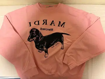 마르디메크르디 트레이닝복