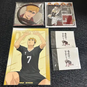 하이큐 미야 아츠무