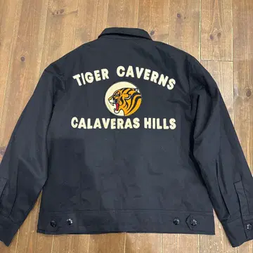 Backers Tiger Caverns 자켓