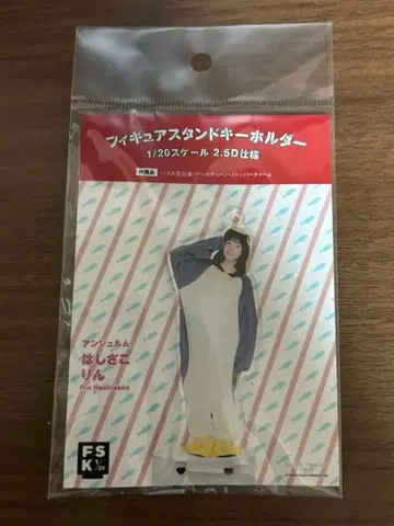 안쥬르므 하시사코 린 FSK