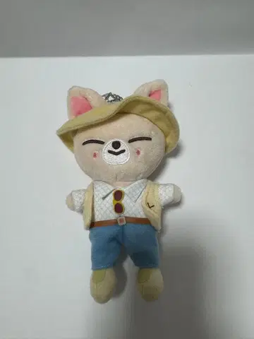 straykids 백참 폭시니