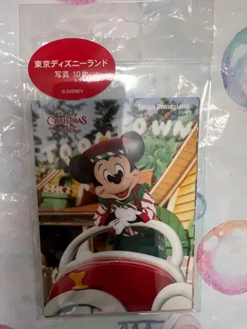 2025 디즈니 크리스마스 사진 10장 세트 미키 마우스와 친구들