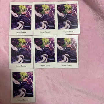 파샤츠 토모에 히요리