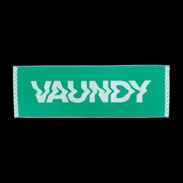 vaundy 라이브 타월 그린