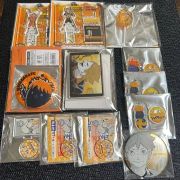 하이큐 팬파크 히나타