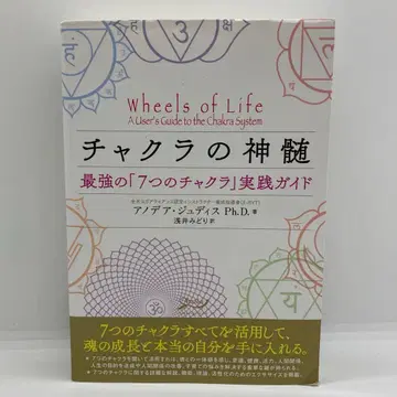 차크라의 정수 최강의 7가지 차크라 실천 가이드