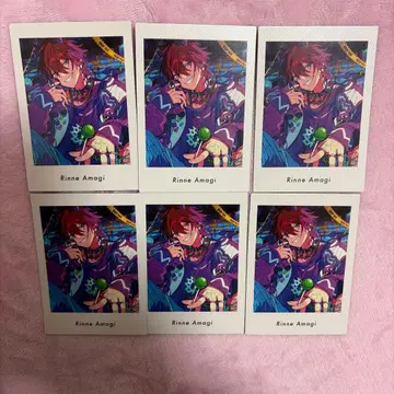 파샤츠 아마기 린네