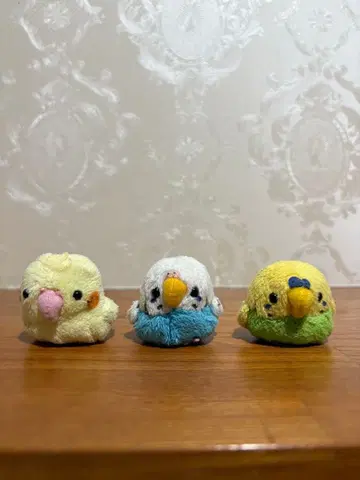 잉꼬 봉제 인형 3개 세트