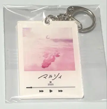 마르시 키링 2025