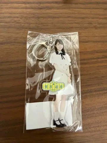 카키 하루카 개별 전신 아크릴 키링 Same numbes