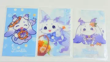 아야카키 HANA BIYORI 클리어 카드 룬룬 3장 세트