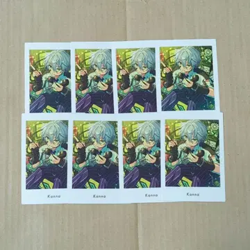 앙스타 파샤츠 칸나