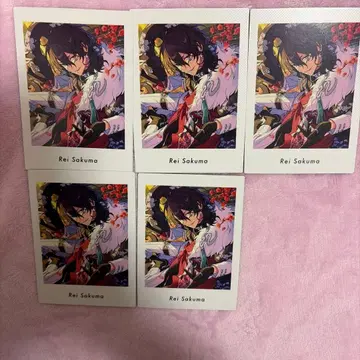 파샤츠 사쿠마 레이