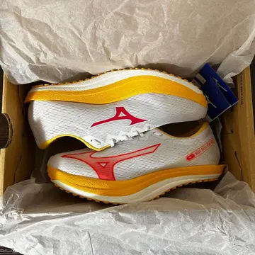 미즈노 웨이브 듀얼 PRO QTR 러닝화