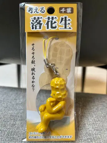 지역 한정 스트랩 치바 한정 생각하는 땅콩