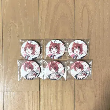 리이누군 아리투어 전반 후반 캔뱃지 6개 세트