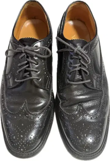 REGAL 리갈 윙팁 2589 676 25.5cm