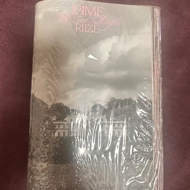 라이즈 페임 카탈로그 앨범