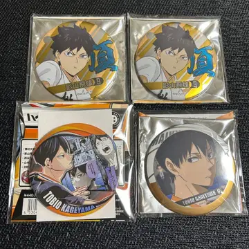 하이큐 캔뱃지 카게야마