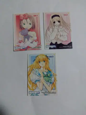 컬러풀 퓨어걸 PR 3장 세트