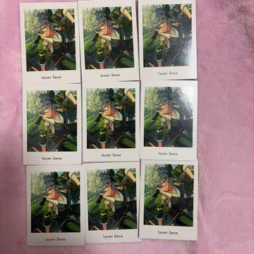 파샤츠 세나 이즈미