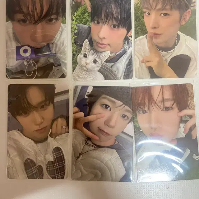 엔시티위시 컬러 쥬얼앨범 포카 일괄