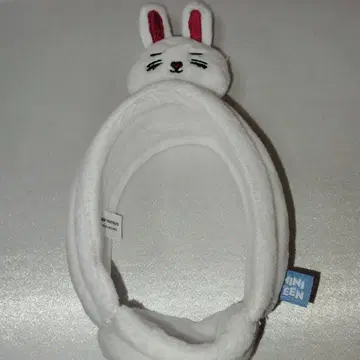 MINI TEEN 응원봉 커버