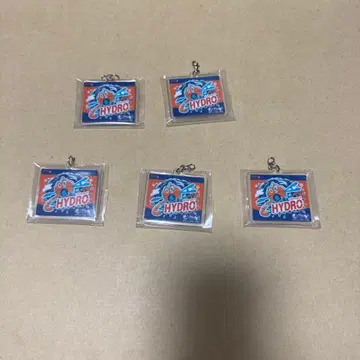 피카피카마트 2연 아크릴 키링 컬렉션 로토무 5점