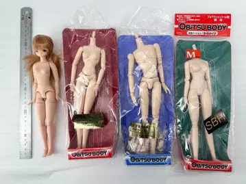 오비츠 바디 묶음 판매 리카쨩 등에도