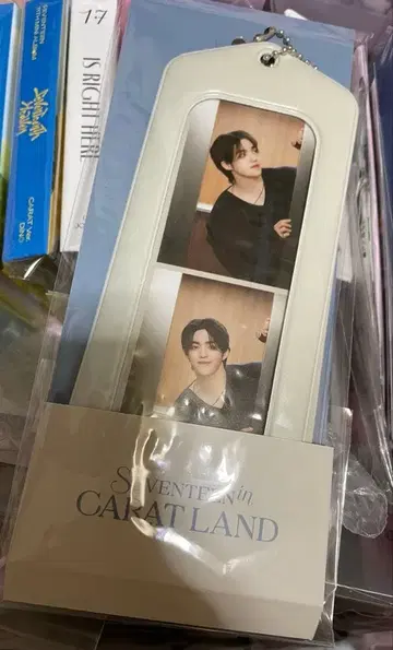 SEVENTEEN CARATLAND 2컷 사진 전원분