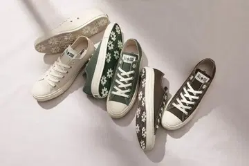 올스타 데이지 OX BROWN