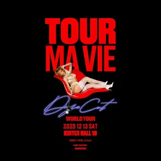 중고거래 플랫폼에 올라온 도자캣 내한공연 티켓 게시물 이미지