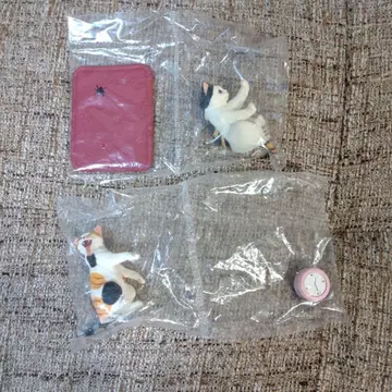 나르고 컬렉션 쿠르토 리리