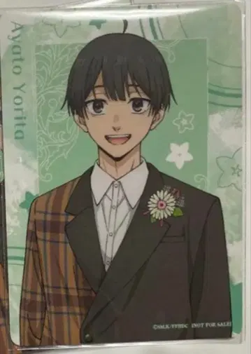 트레이딩 카드 blooming party 혜택 요다