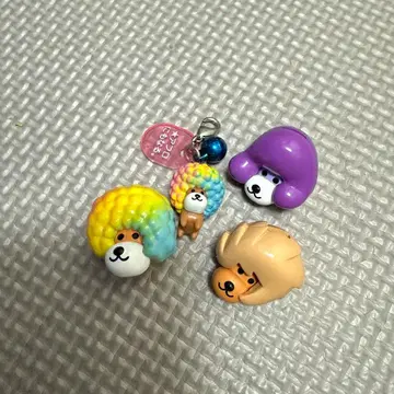 산엑스 아프로견 세트