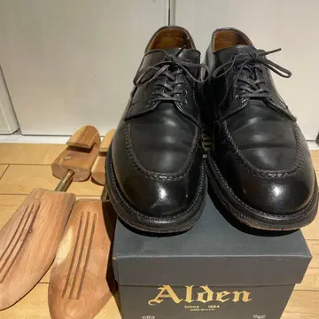 Alden 코도반 2495