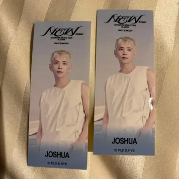 SEVENTEEN 세부치 조슈아 JOSHUA 스티커