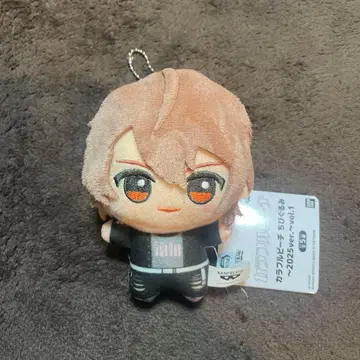 컬러풀 피치 SD 인형~2025ver.~ 우리