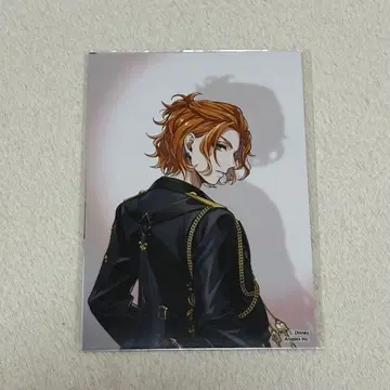 트위스테 팝업 브레이징 주얼 케이트 포트레이트