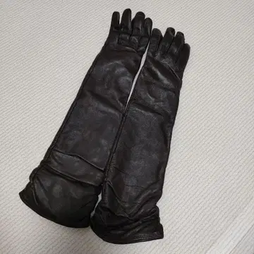 가죽 롱 그로브