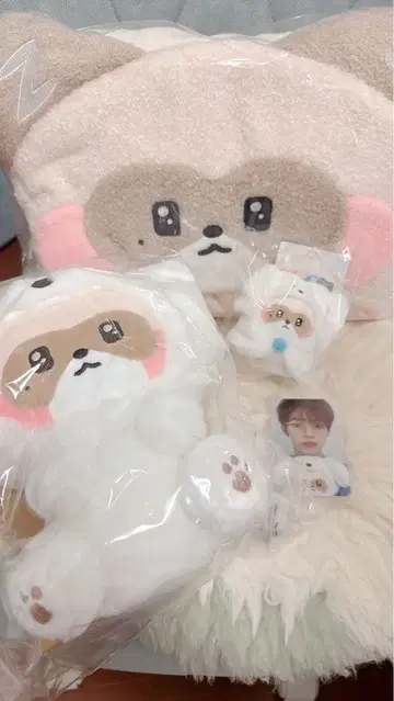 zeroni 하니니 담요 봉제 인형 키링 트레이딩 카드 포함